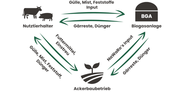 Infographic over de nutriëntenkringloop bij landbouwbedrijf Bernd Bösing