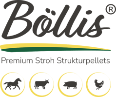 logo-boellis-color-icons