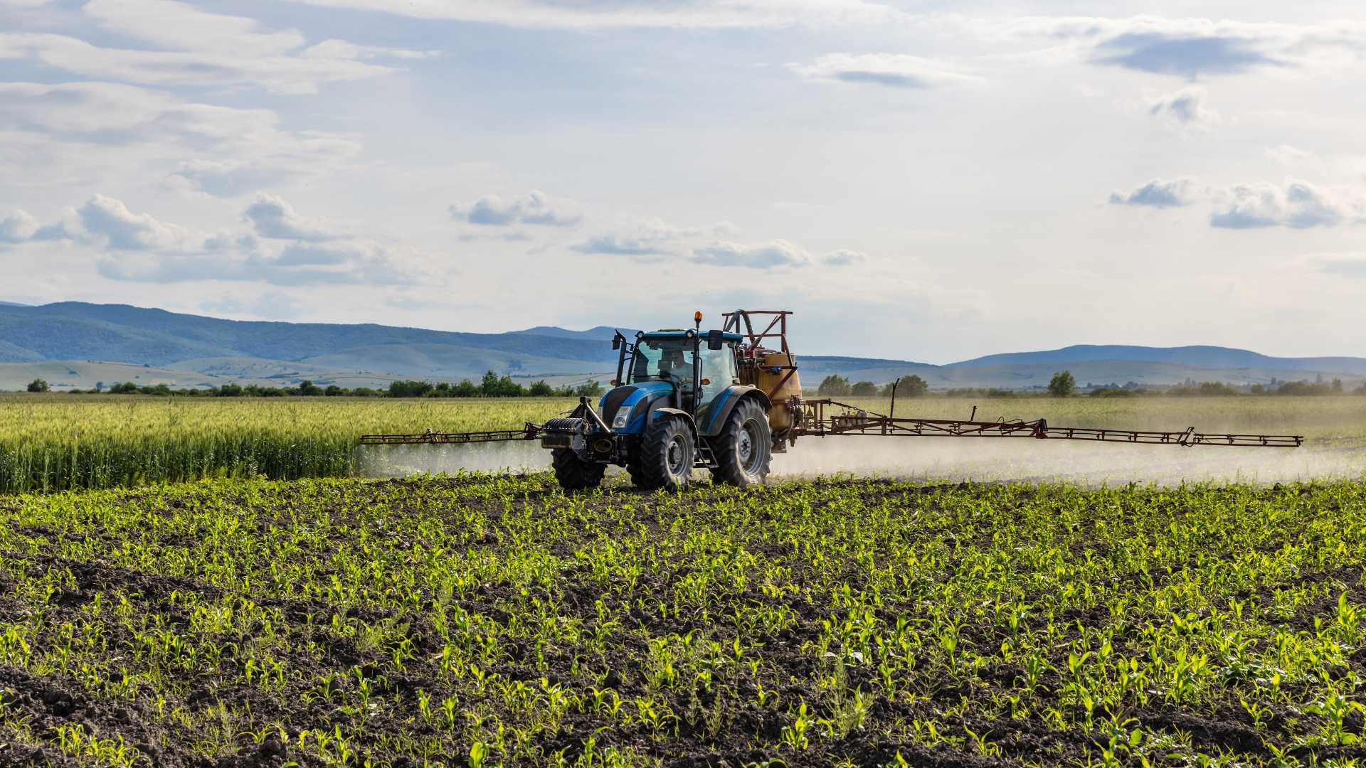 Ein Traktor düngt ein Feld